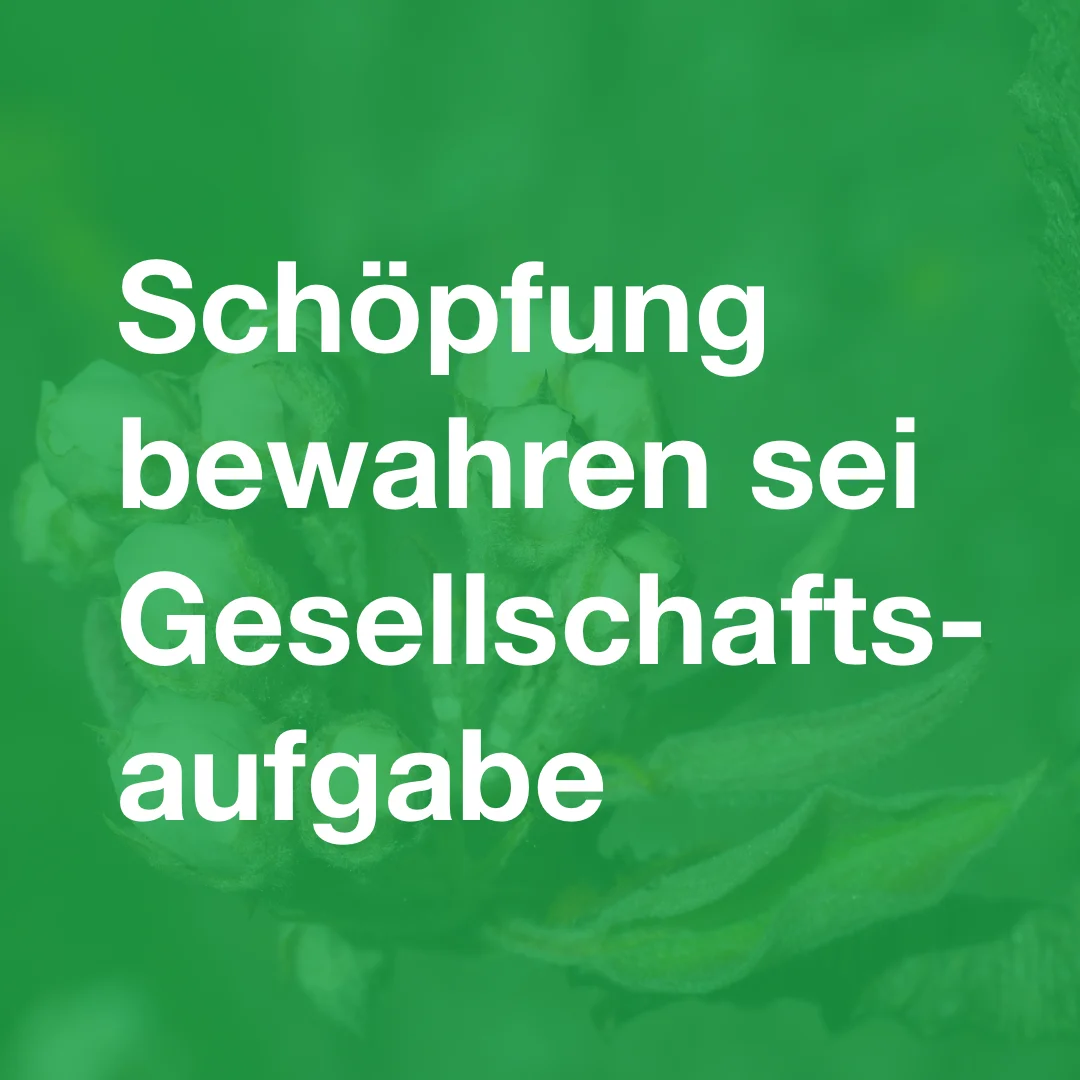 Grüner Hintergrund. Schemenhaft ist eine große Blüte erkennbar. Text: Schöpfung bewahren sei Gesellschaftsaufgabe.