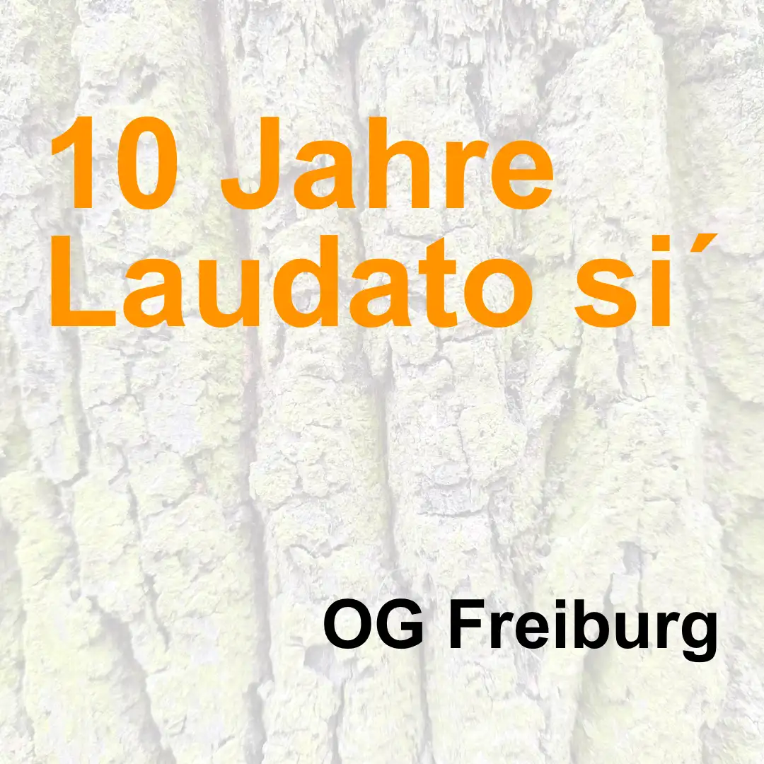 Das Bild zeigt im Hintergrund die Rinde eines älteren Baumes. Text: "10 Jahre Laudatio si" und ""Ortsgruppe Freiburg".