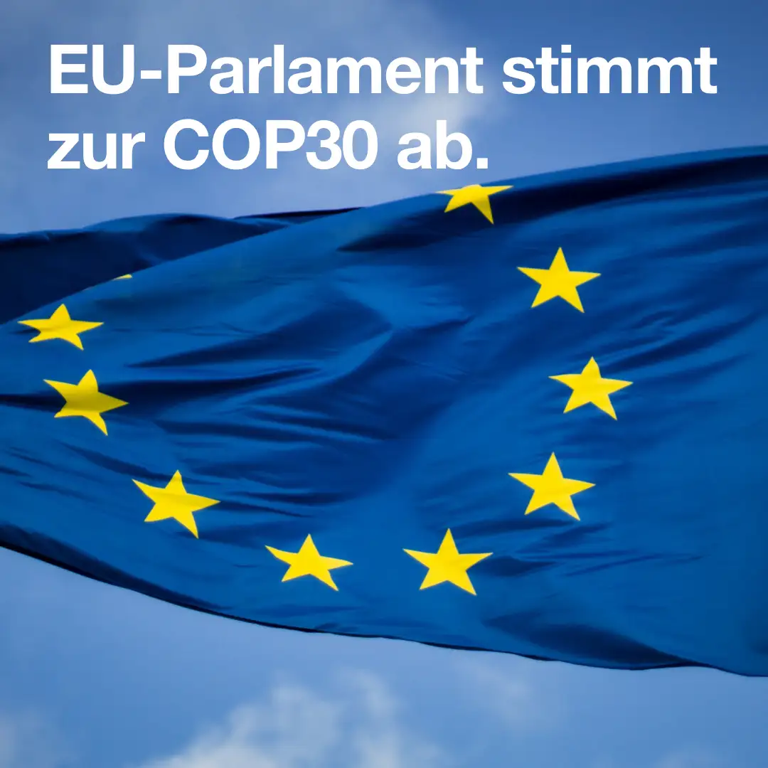 Das Bild zeigt eine wehende EU-Fahne. Text: "EU-Parlament stimmt zur COP30 ab.