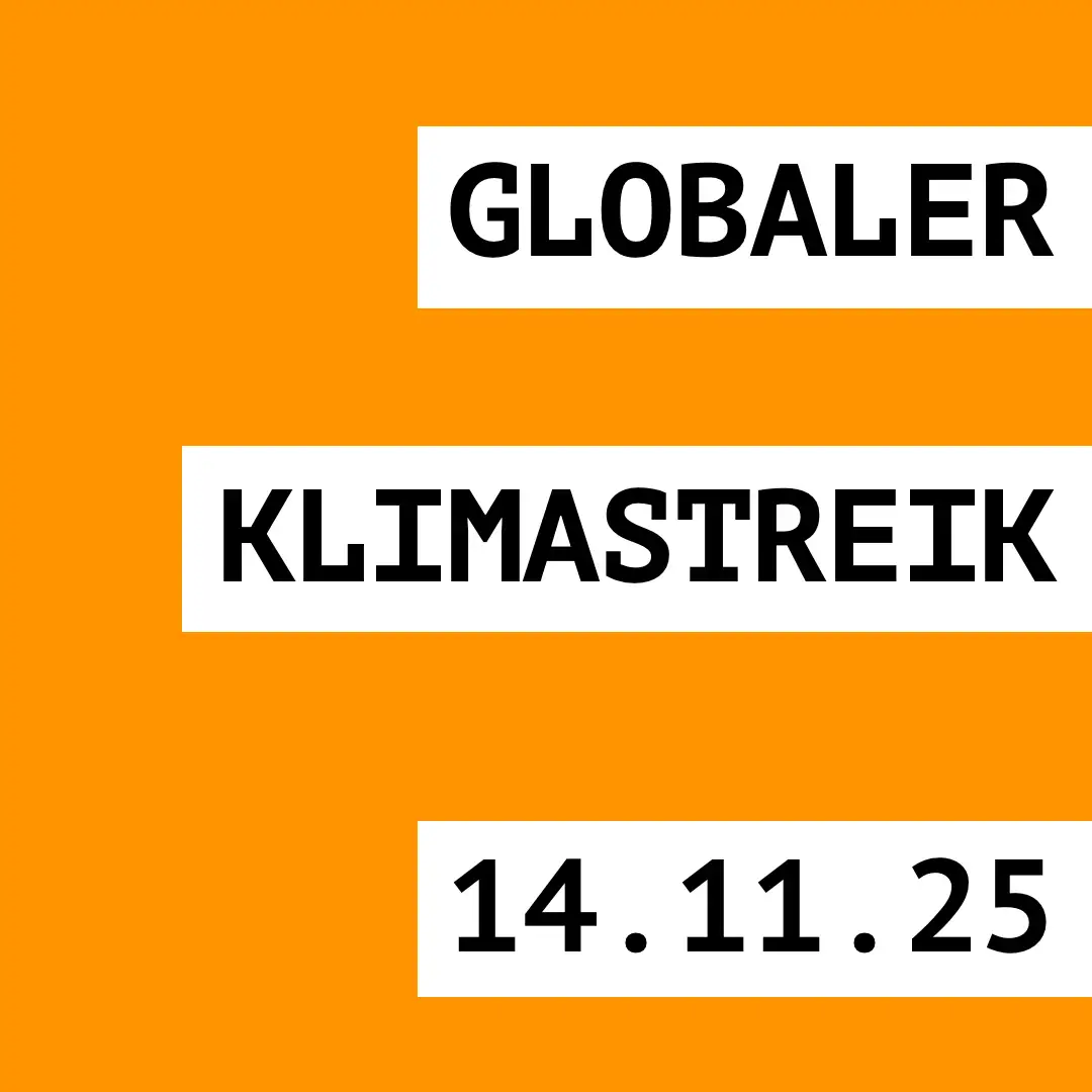 Das Bild zeigt auf orangefarbenem Hintergrund nur den Text: "Globaler Klimastreik am 14.11.2025".
