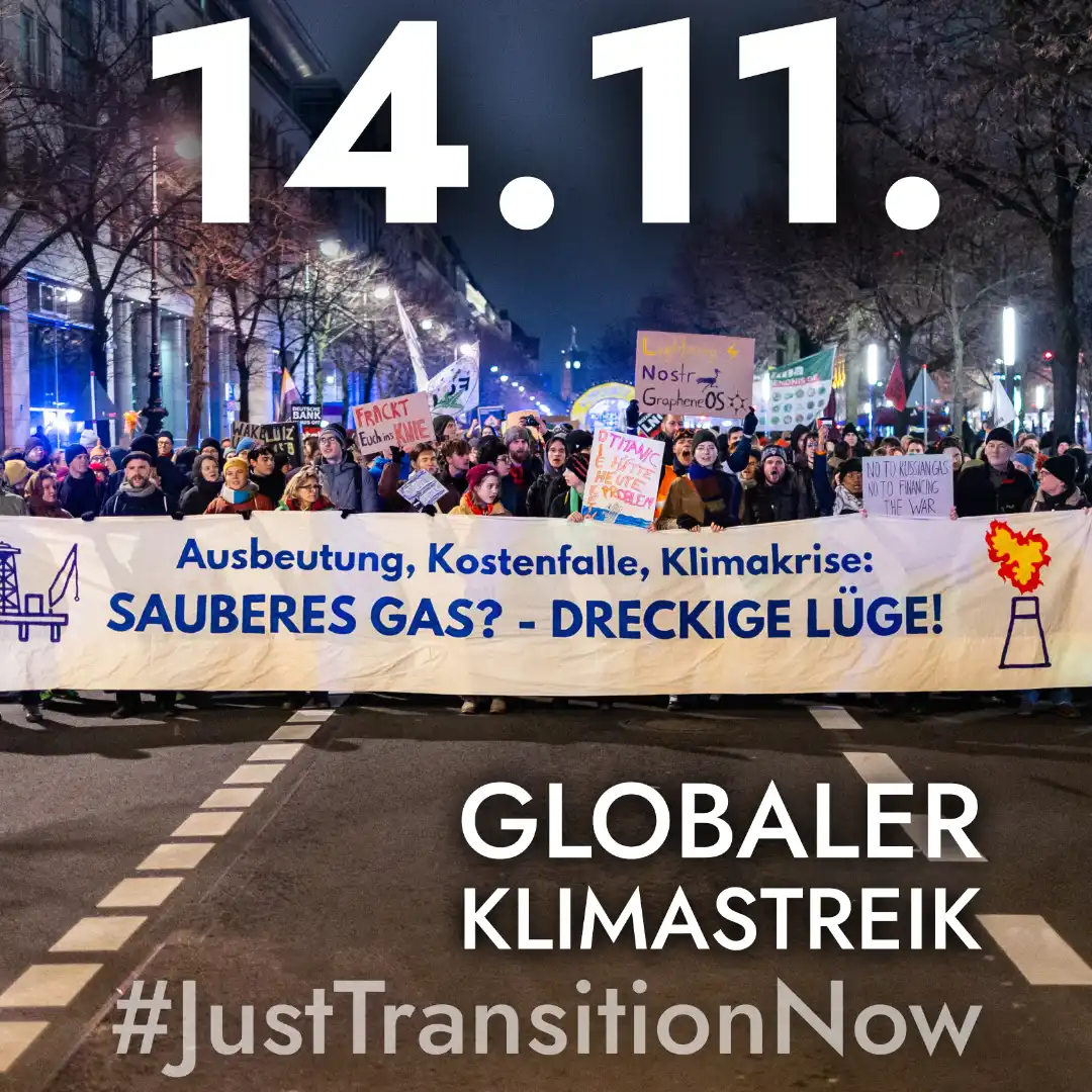 Das Bild zeigt eine Demonstration. Text:14.11. Globaler Klimastreik.