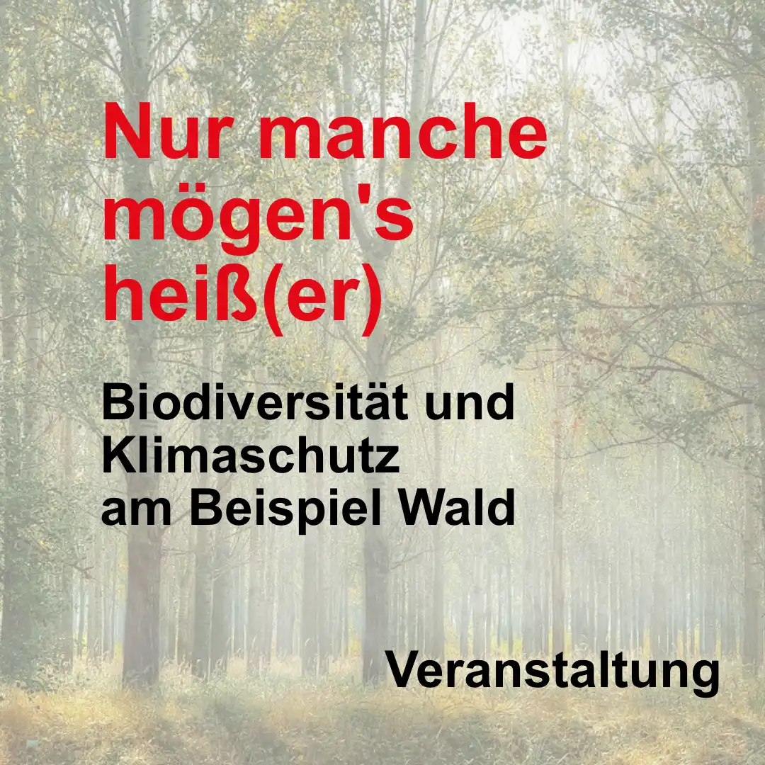 Das Bild zeigt einen Wald. Text: "Nur machen mögen es heißer. Biodiversität und Klimaschutz am Beispiel Wald".