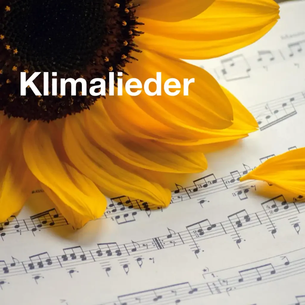 Das Bild zeigt im Hintergrund ein Notenblatt. Darauf liegt die große Blüte einer Sonnenblume.